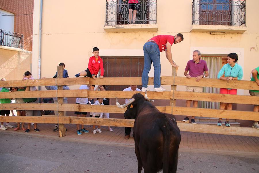 Fotos: Torquemada sigue Fiel a sus Encierros