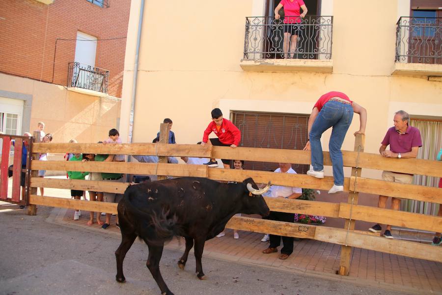 Fotos: Torquemada sigue Fiel a sus Encierros