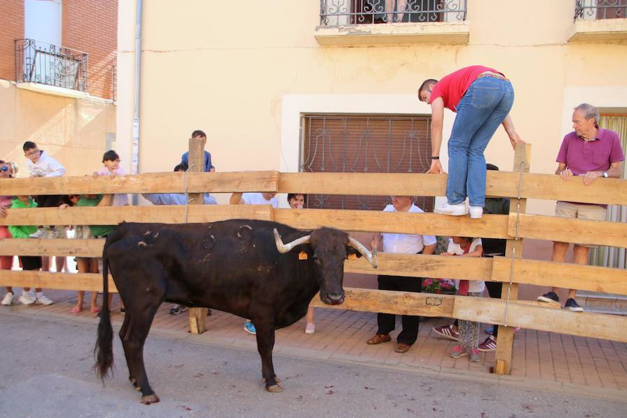 Fotos: Torquemada sigue Fiel a sus Encierros
