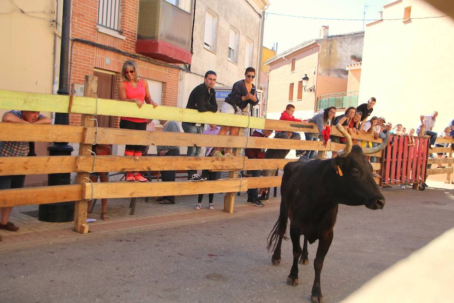 Fotos: Torquemada sigue Fiel a sus Encierros
