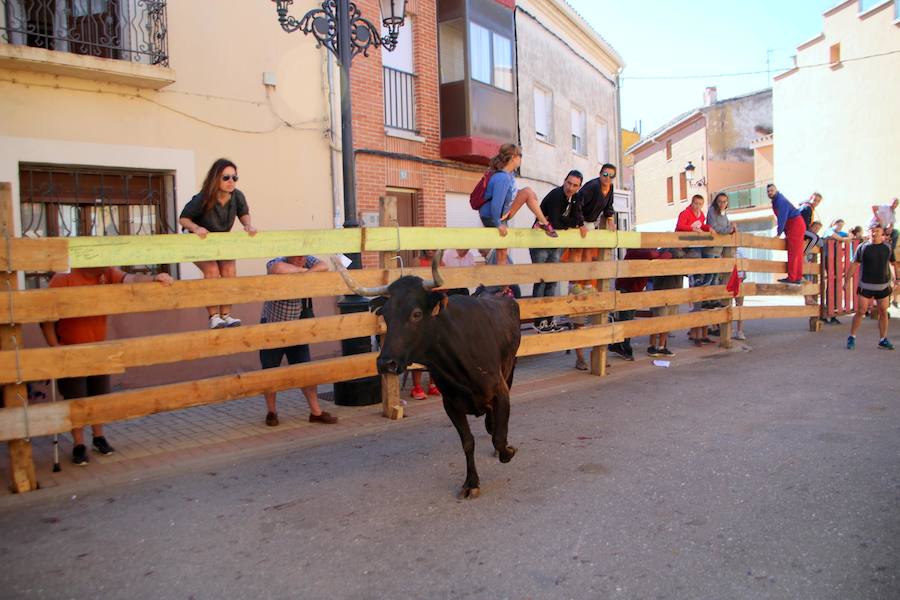 Fotos: Torquemada sigue Fiel a sus Encierros