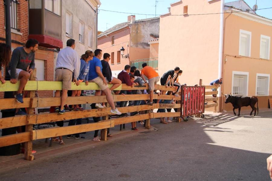 Fotos: Torquemada sigue Fiel a sus Encierros
