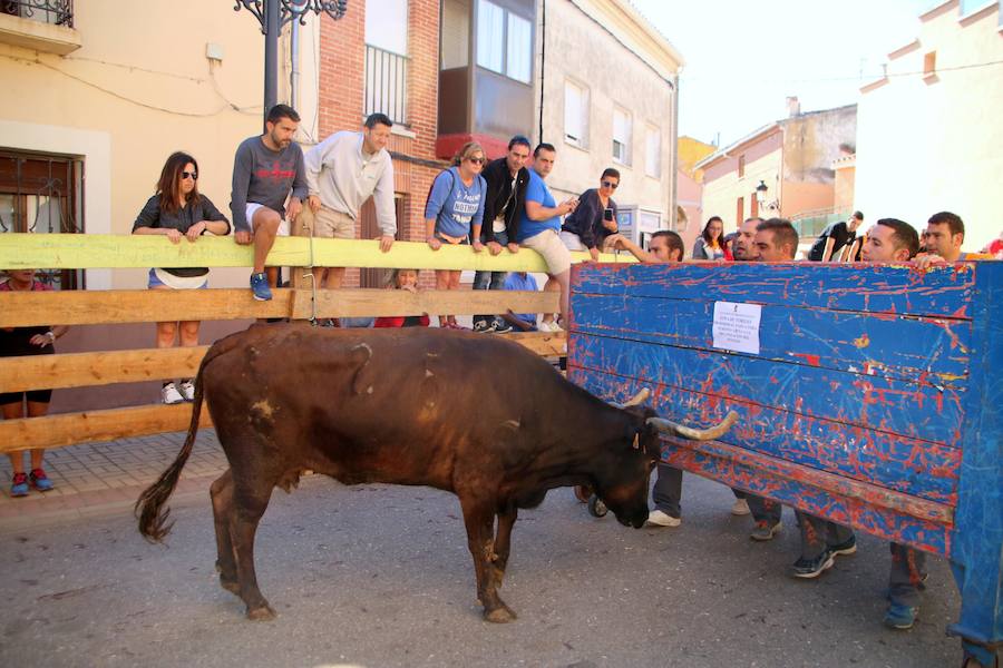 Fotos: Torquemada sigue Fiel a sus Encierros
