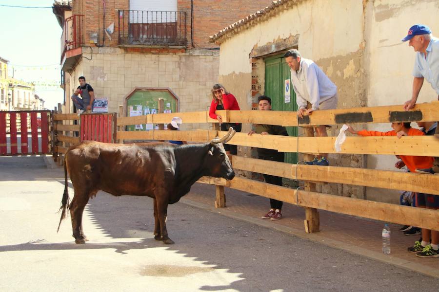 Fotos: Torquemada sigue Fiel a sus Encierros