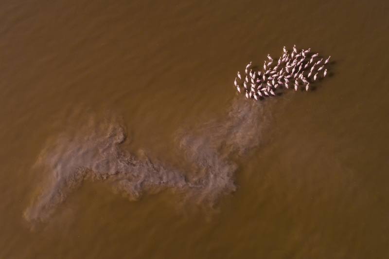 Fotos: Las imágenes más espectaculares captadas con drones