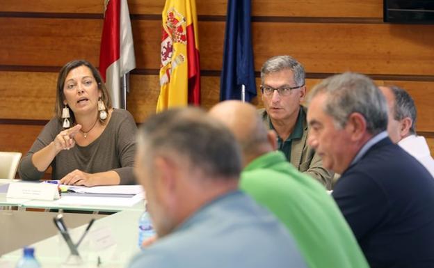 La consejera de Agricultura y Ganadería y portavoz de la Junta, Milagros Marcos, preside el Consejo Agrario de Castilla y León. 