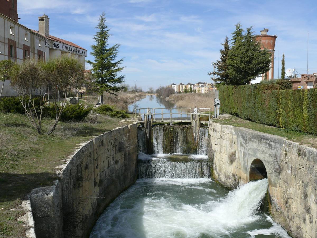 El Canal de Castilla a su paso por Villamuriel de Cerrato (Palencia).