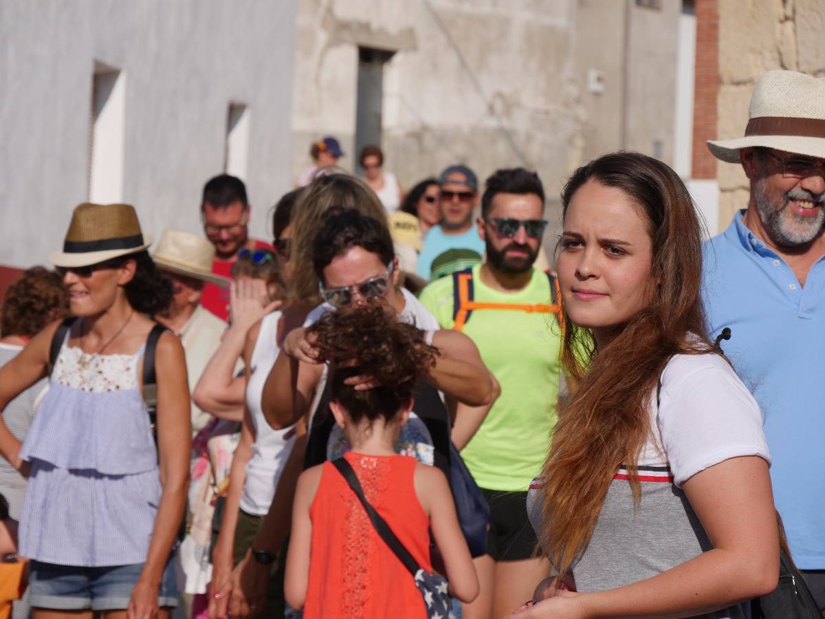 Fotos: Actividad medioambiental en Castrodeza