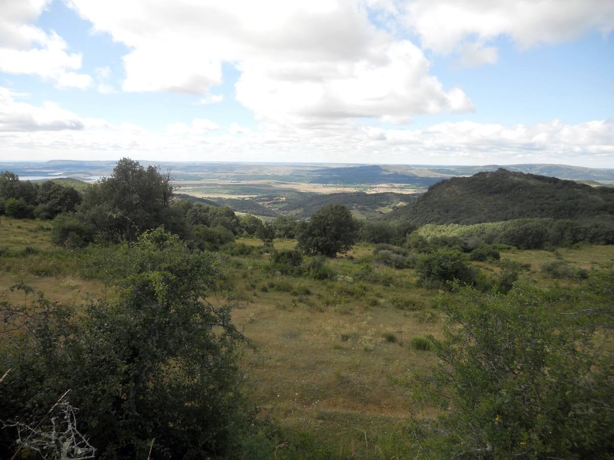 Una ruta de 11 kms, con un recorrido circular que une Villabellaco, Valle de Santullán y el Santuario del Carmen | Una senda en homenaje al escultor local Ursicinio Martínez entre bosques de rebollos y esculturas de sus compañeros del Grupo Muriel