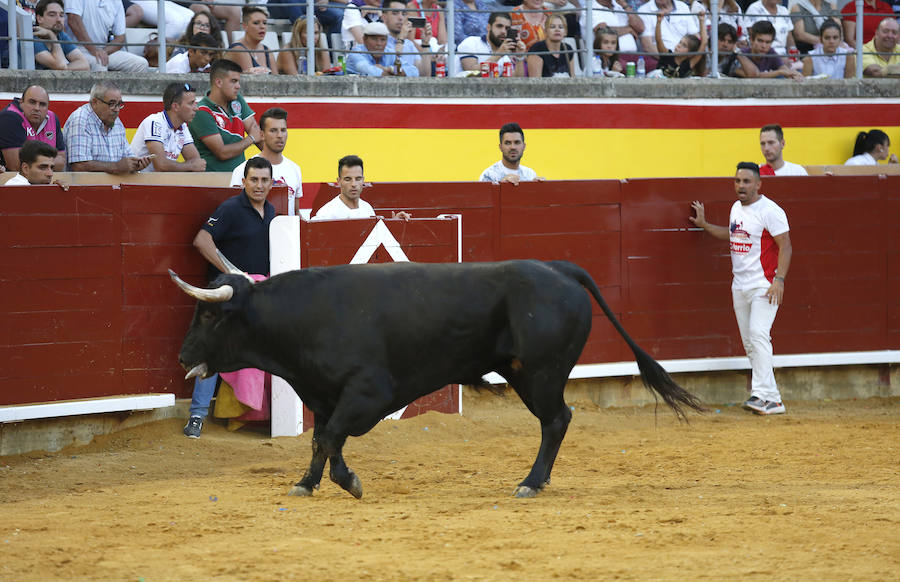 Fotos: &#039;Use&#039; gana el concurso de cortes de Palencia