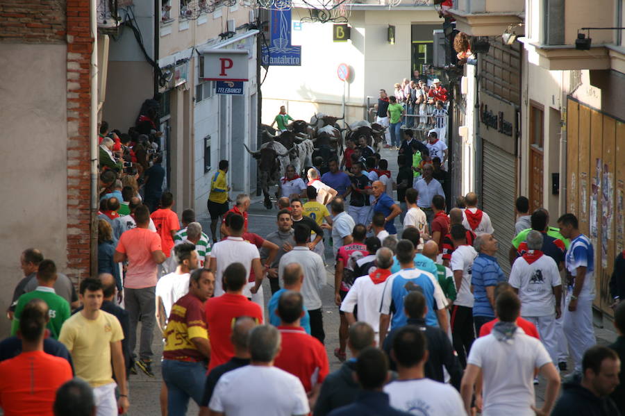 Solo cinco novillos han acabado el recorrido y han entrado en la plaza; el sexto ha tenido que ser anestesiado
