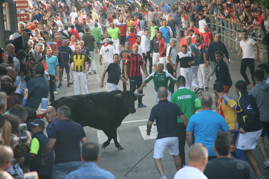 Solo cinco novillos han acabado el recorrido y han entrado en la plaza; el sexto ha tenido que ser anestesiado
