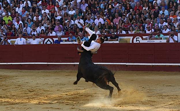 Momento de la cogida al cortador cuellarano Héctor Cabano durante el concurso de cortes de la villa. 