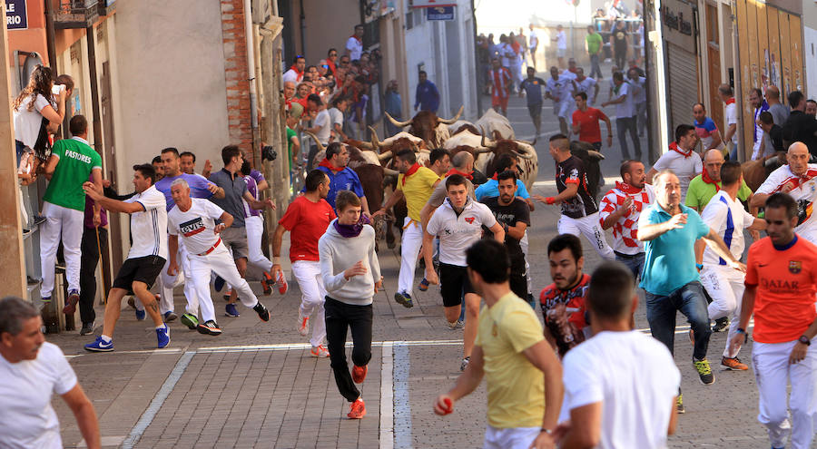 Fotos: Segundo encierro de las fiestas de Cuéllar