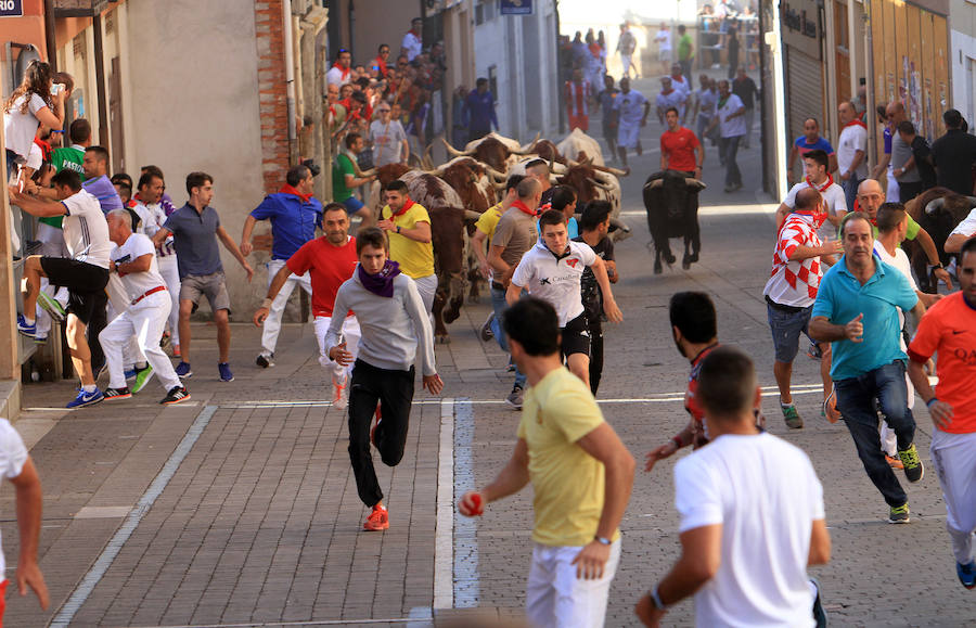 Fotos: Segundo encierro de las fiestas de Cuéllar