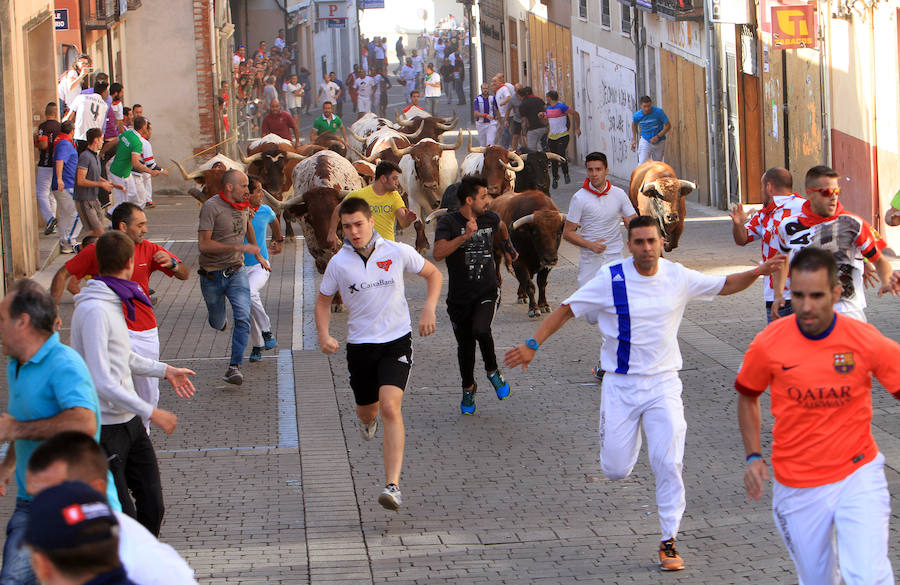 Fotos: Segundo encierro de las fiestas de Cuéllar