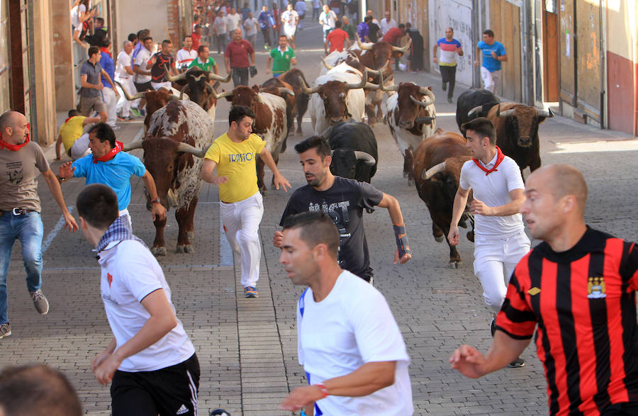 Fotos: Segundo encierro de las fiestas de Cuéllar