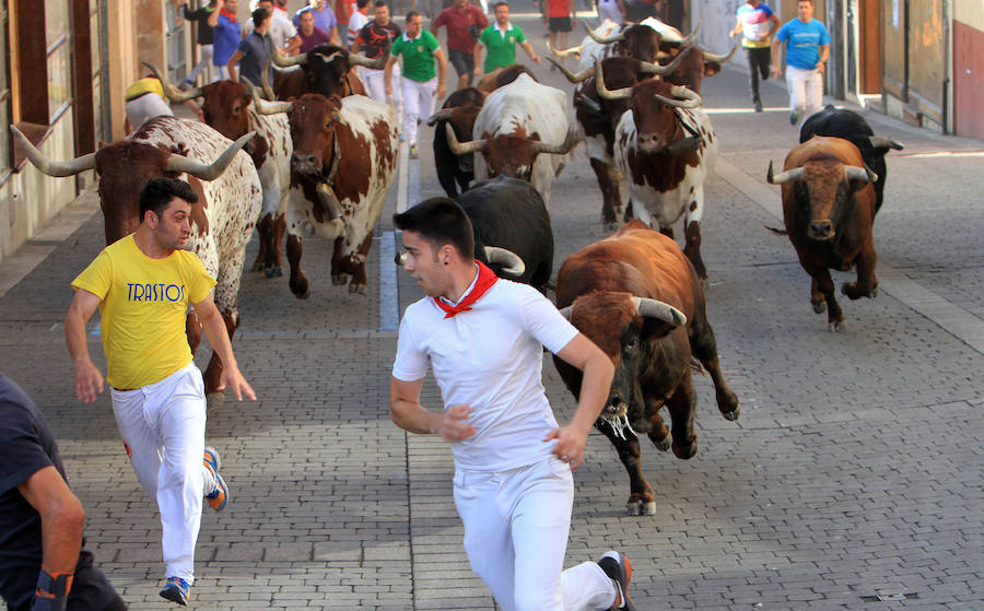 Fotos: Segundo encierro de las fiestas de Cuéllar