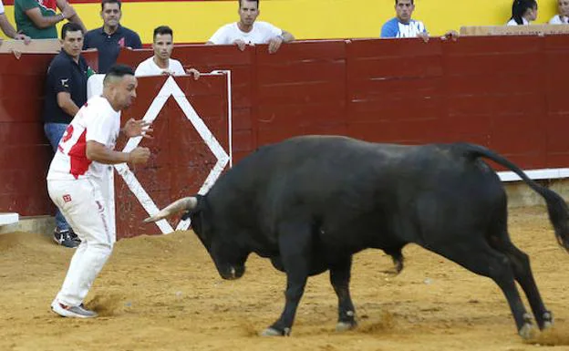 'Use' se dispone a ejecutar el salto que le dio el triunfo en Palencia. 
