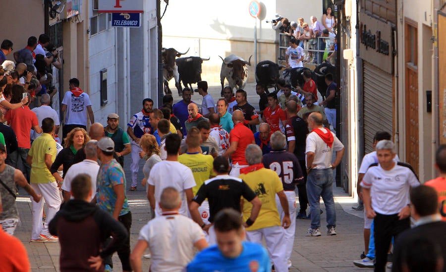 Fotos: Tercer encierro de las fiestas de Cuéllar