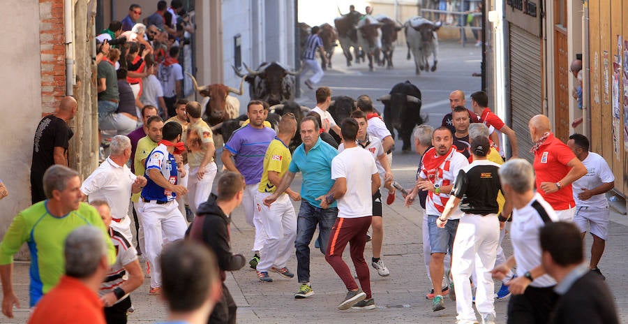 Fotos: Tercer encierro de las fiestas de Cuéllar