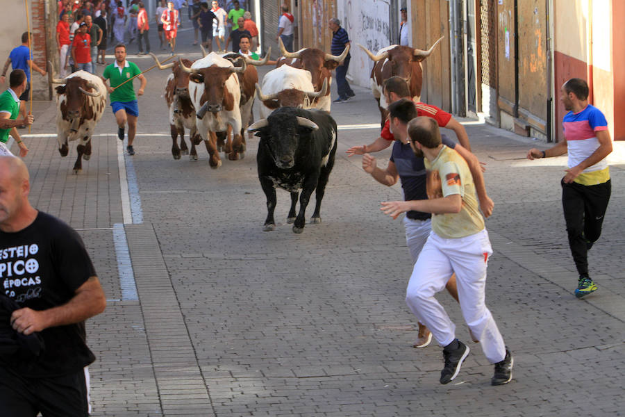 Fotos: Tercer encierro de las fiestas de Cuéllar