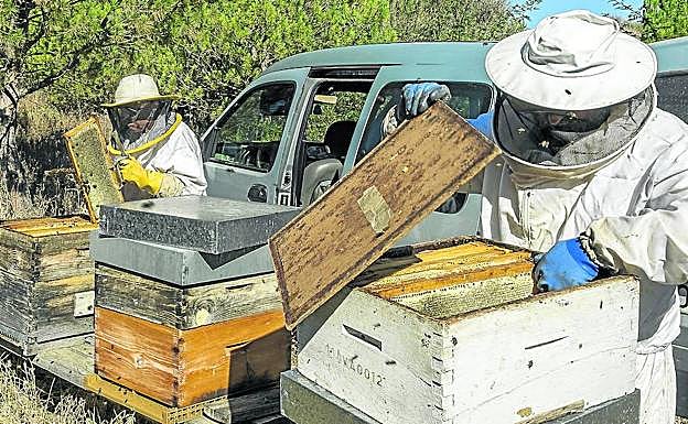 Apicultores de la asociación provincial, colectivo que reclama una regulación de las colmenas trashumantes.