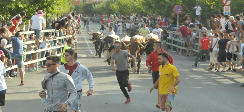 Fotos: Encierro en Medina del Campo