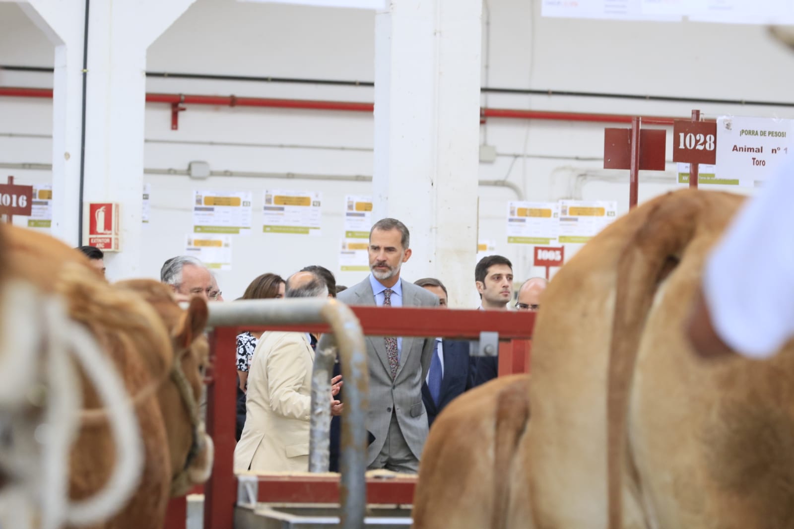 Fotos: Visita de los Reyes a la Feria Agropecuaria de Salamanca