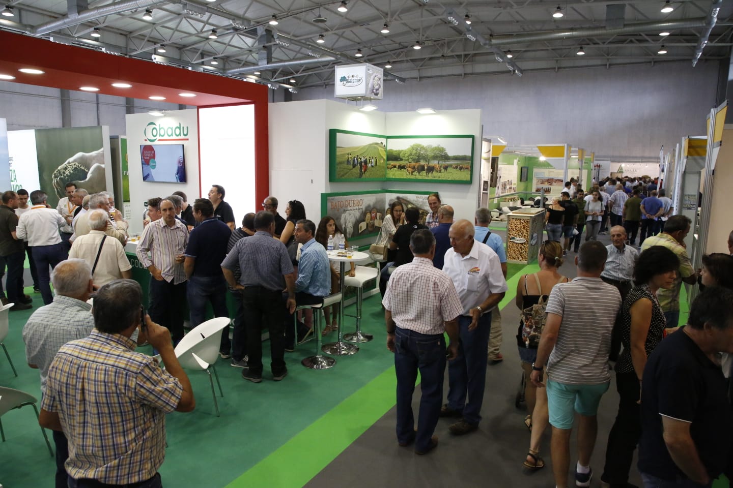 Fotos: Visita de los Reyes a la Feria Agropecuaria de Salamanca