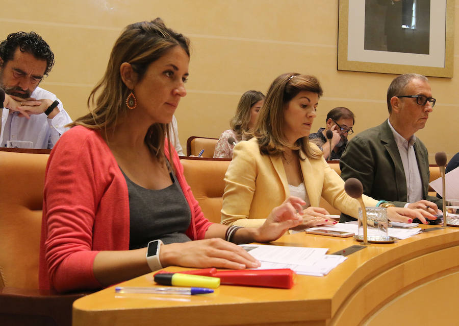 Fotos: Pleno del Ayuntamiento de Segovia