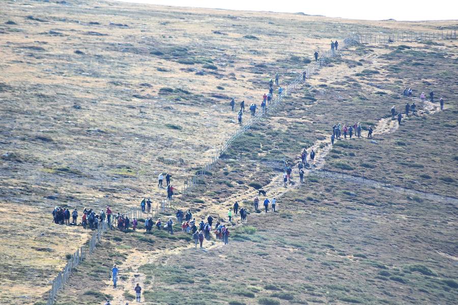 Fotos: Las imágenes que deja la Mojonera en 2018