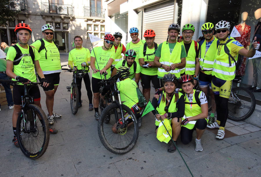 Fotos: V Marcha contra el Cáncer en Segovia
