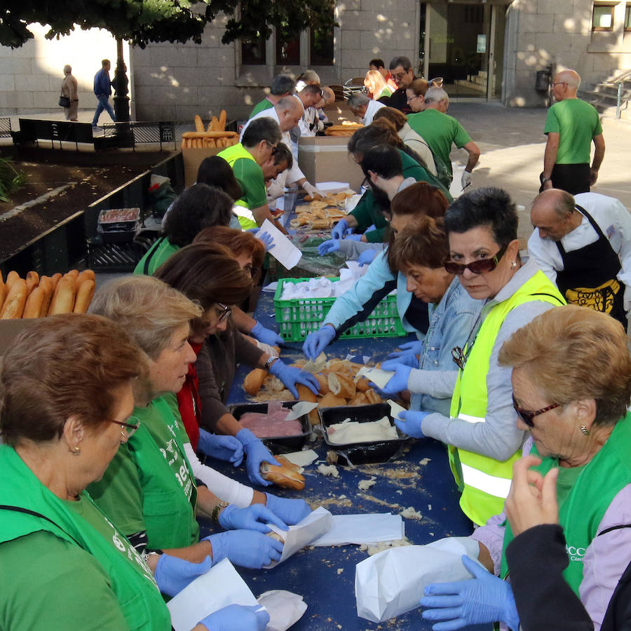 Fotos: V Marcha contra el Cáncer en Segovia