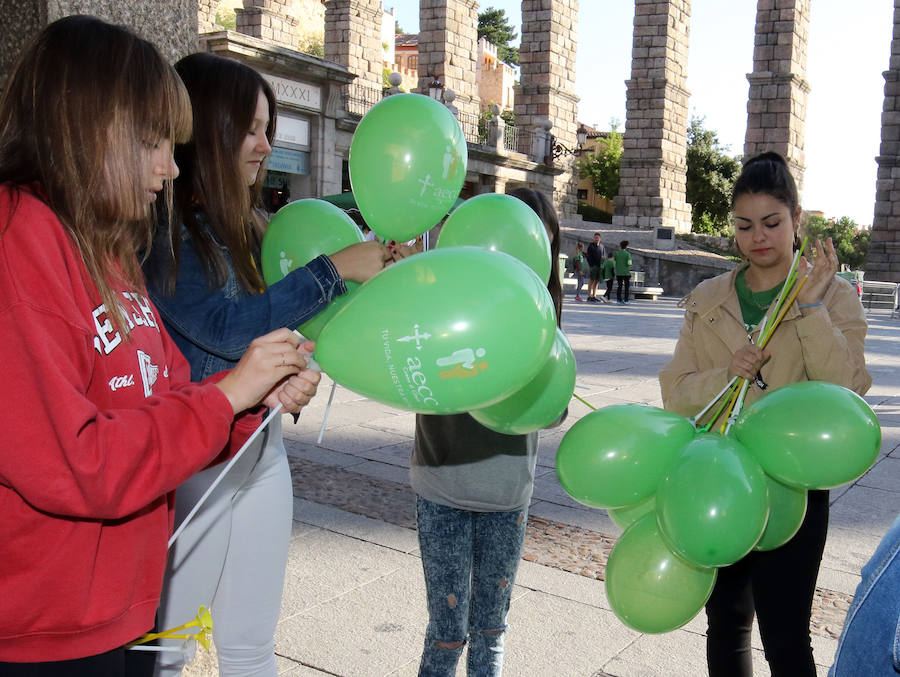 Fotos: V Marcha contra el Cáncer en Segovia