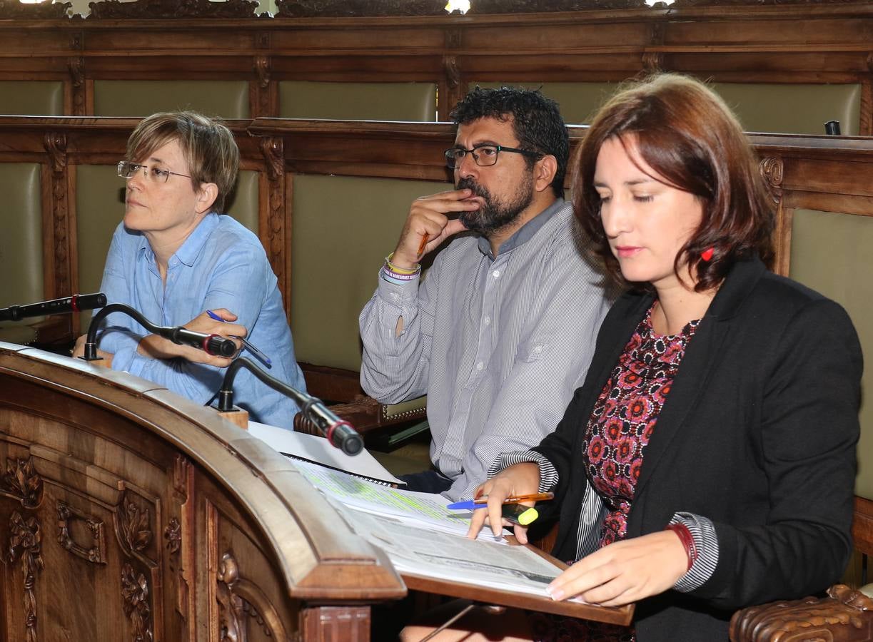 Fotos: Pleno en el Ayuntamiento de Valladolid
