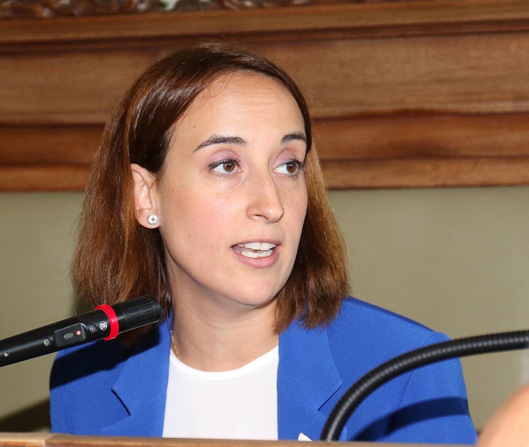 Fotos: Pleno en el Ayuntamiento de Valladolid