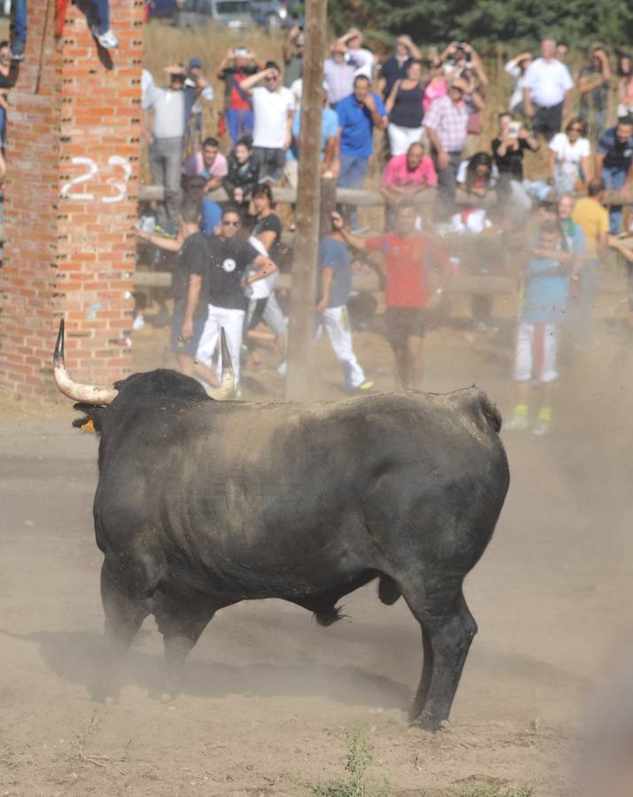 Dos personas han resultado heridas, al parecer uno con una posible cornada en la pierna