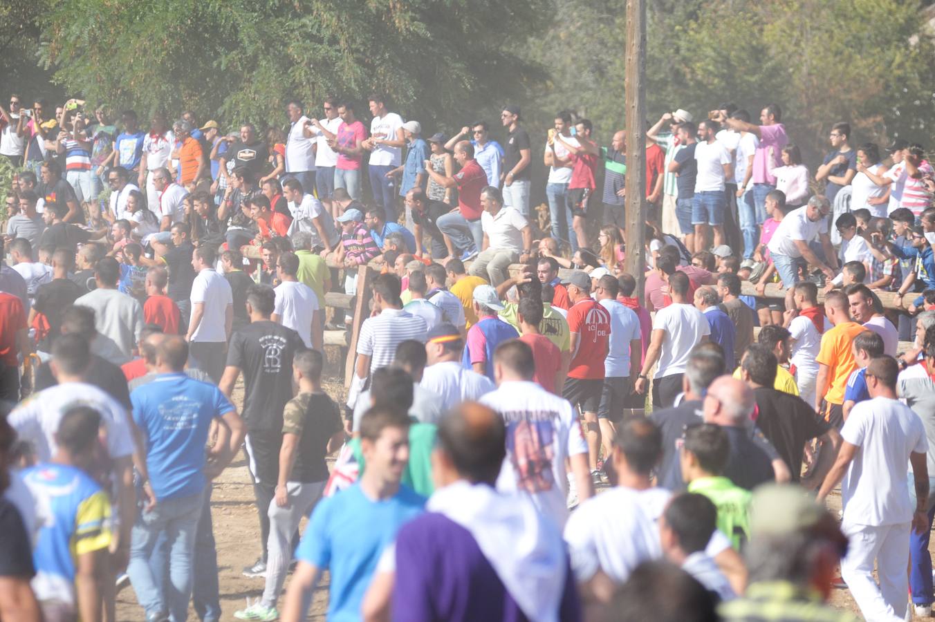 Dos personas han resultado heridas, al parecer uno con una posible cornada en la pierna