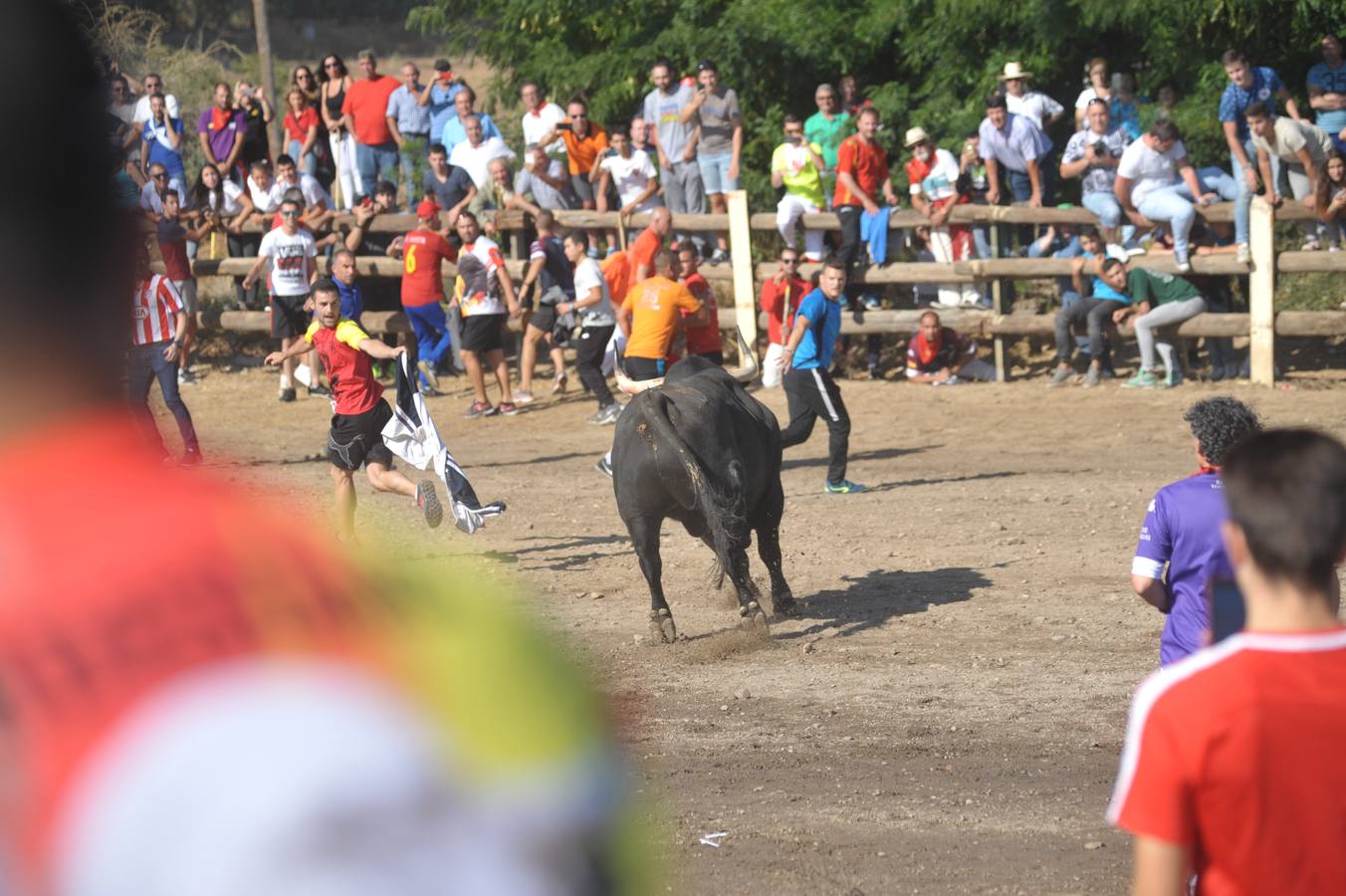 Dos personas han resultado heridas, al parecer uno con una posible cornada en la pierna