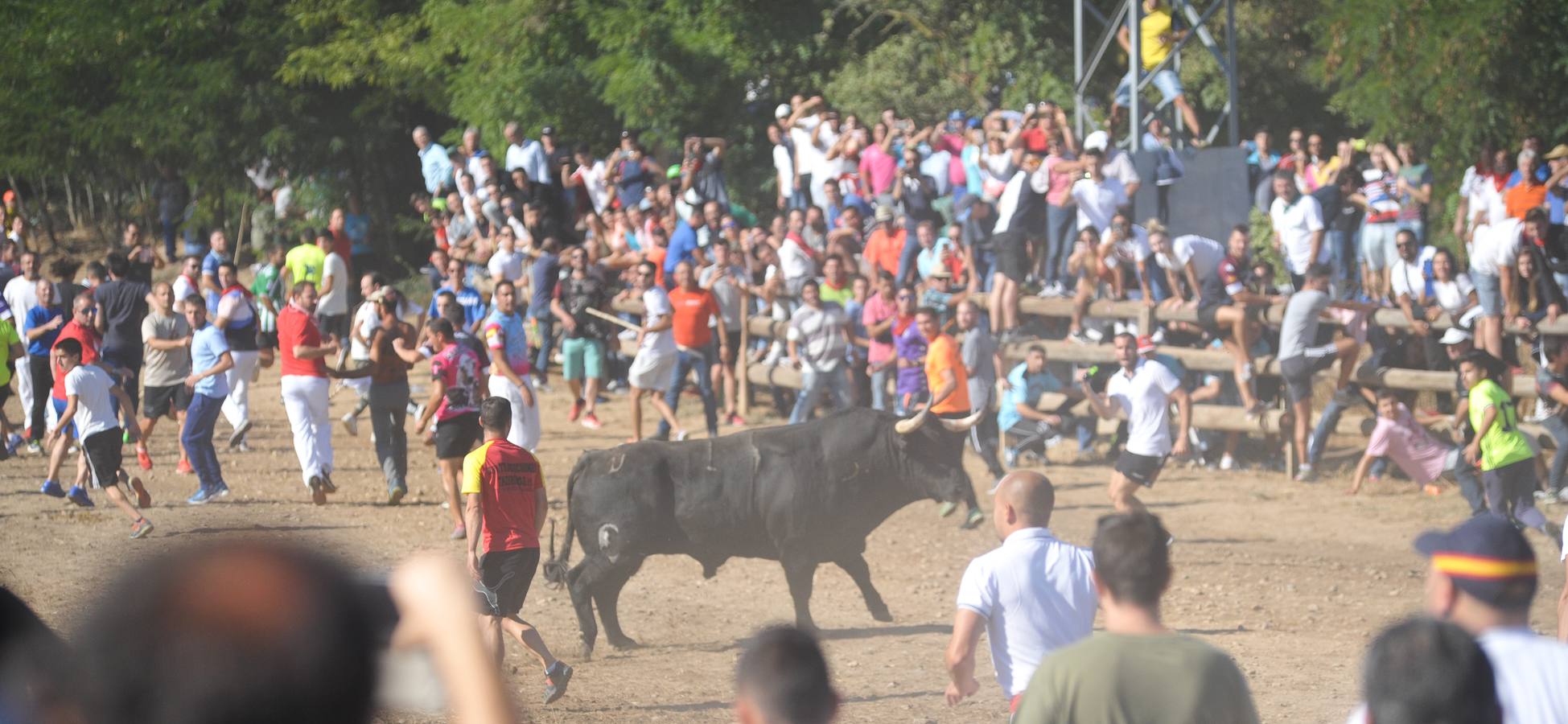 Dos personas han resultado heridas, al parecer uno con una posible cornada en la pierna