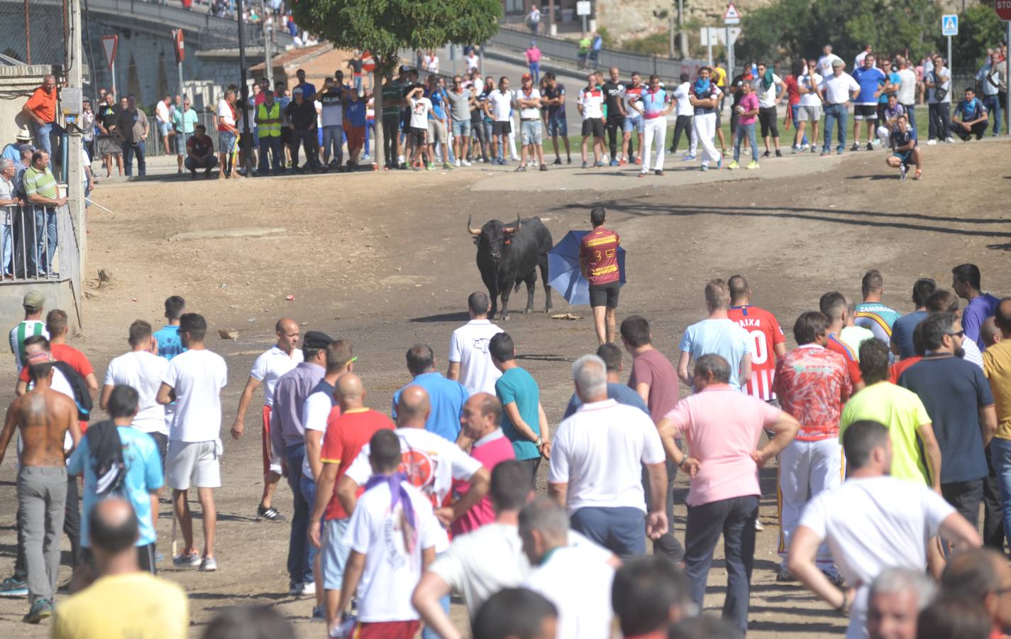 Dos personas han resultado heridas, al parecer uno con una posible cornada en la pierna