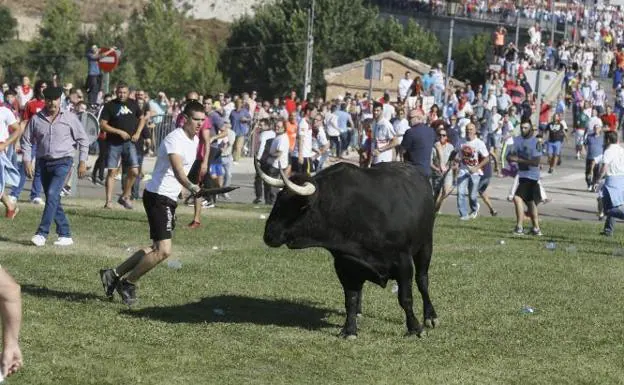 Un joven corneado por el Toro de la Vega.