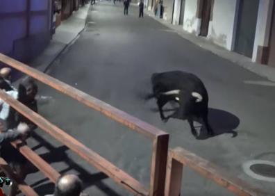 Imagen secundaria 1 - Uno de los novillos desató el pánico el domingo en Alaejos al quedarse encajado entre los barrotes de una de las talanqueras. 