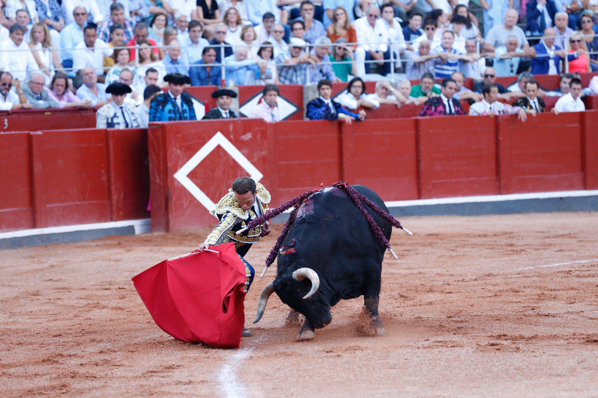 Máximos honores para el bravo, bello y distinguido toro de Montalvo que partió plaza