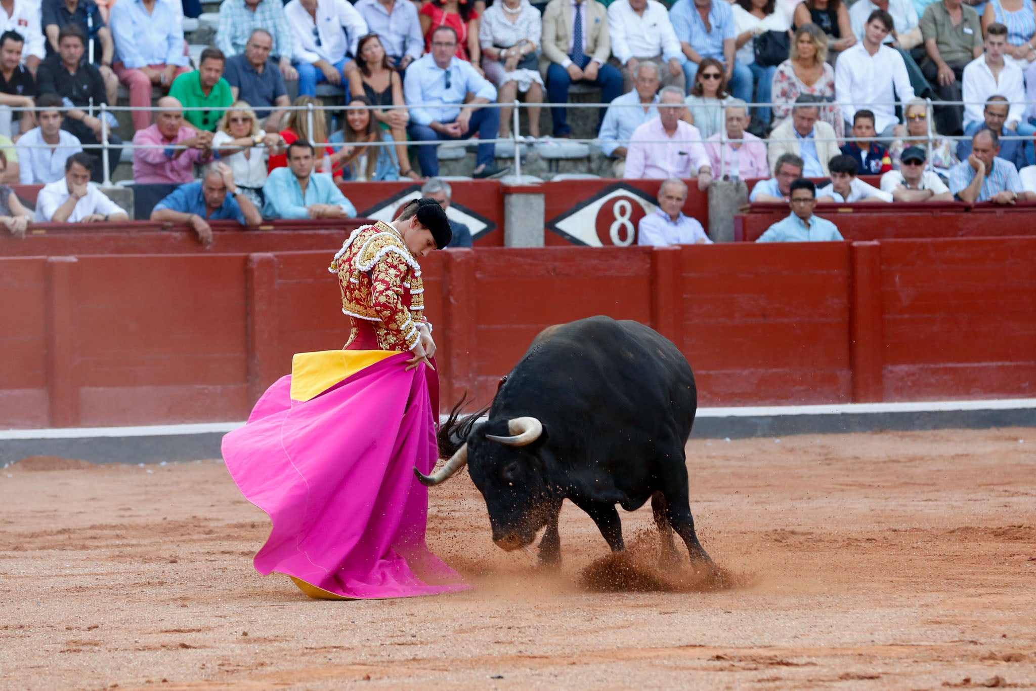 Máximos honores para el bravo, bello y distinguido toro de Montalvo que partió plaza