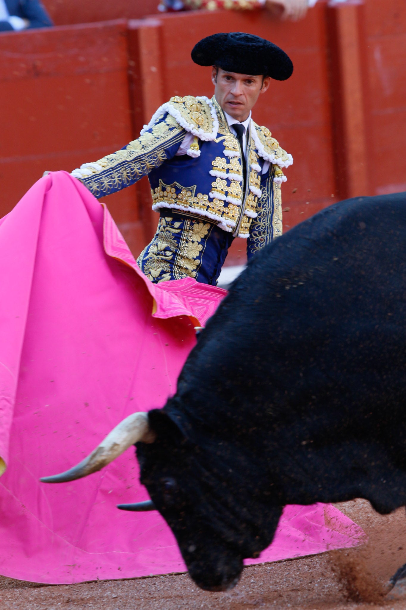 Máximos honores para el bravo, bello y distinguido toro de Montalvo que partió plaza