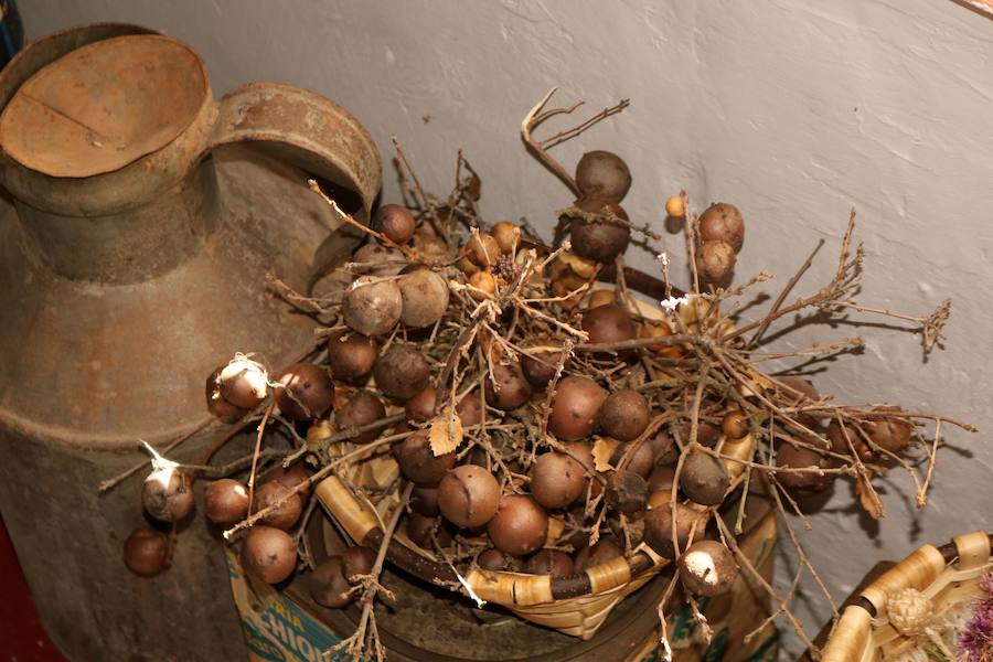 Fotos: Exposición etnográfica en Antigüedad