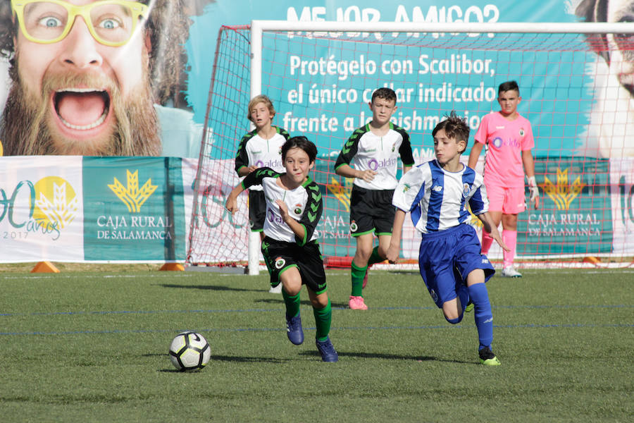 Jornada final de la Copa Tormes en Santa Mart