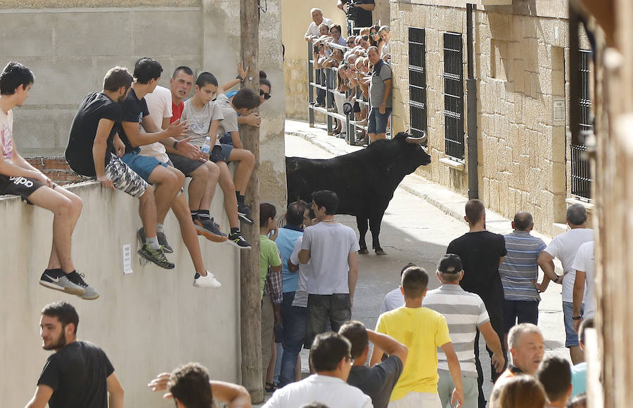 Fotos: Astudillo festeja su primer Toro del Pueblo